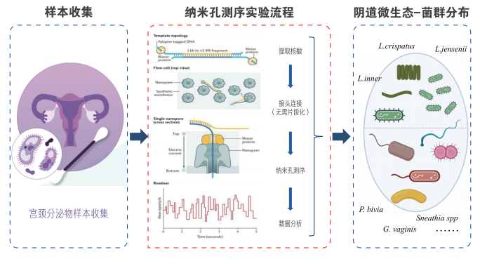 配图1.png