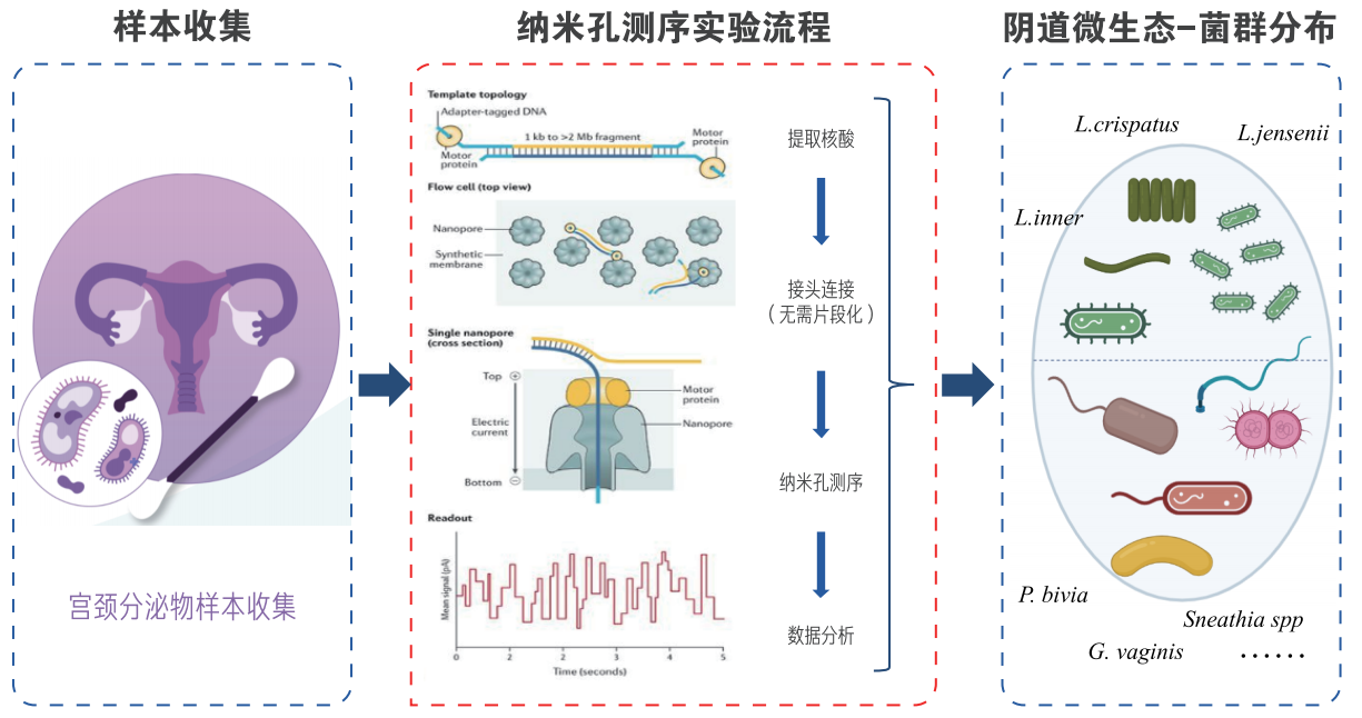 图片 5.png