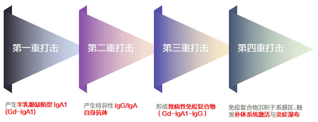 1778319411998626.png 微信图片_2026-05-09_173618_283.png