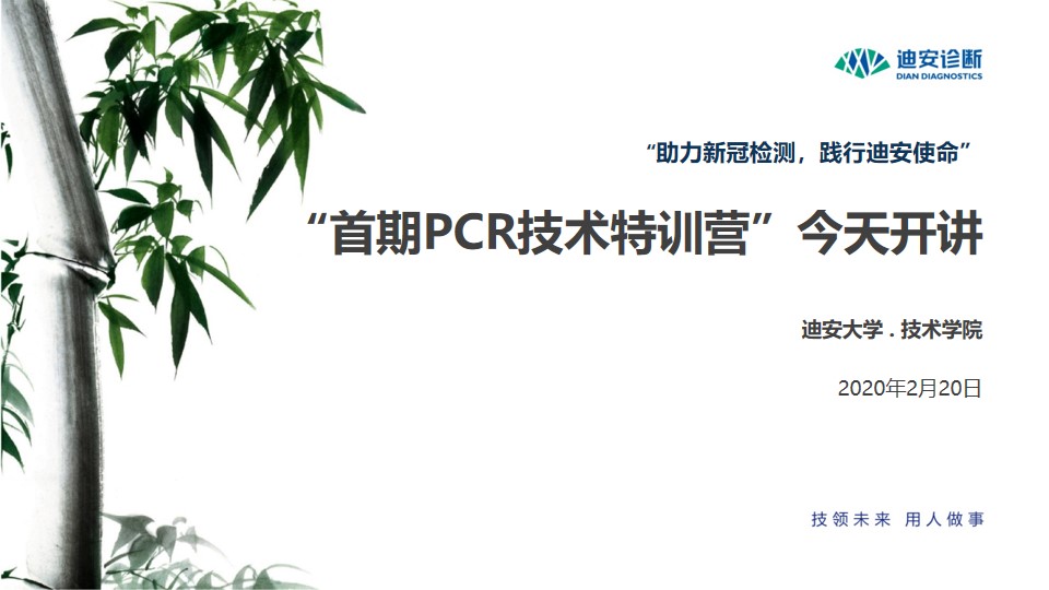 开场PPT.jpg