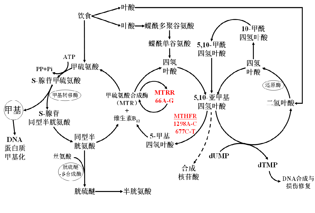 369AF1CB-0DE1-4a85-A41D-9AE13DC6C8A3.png